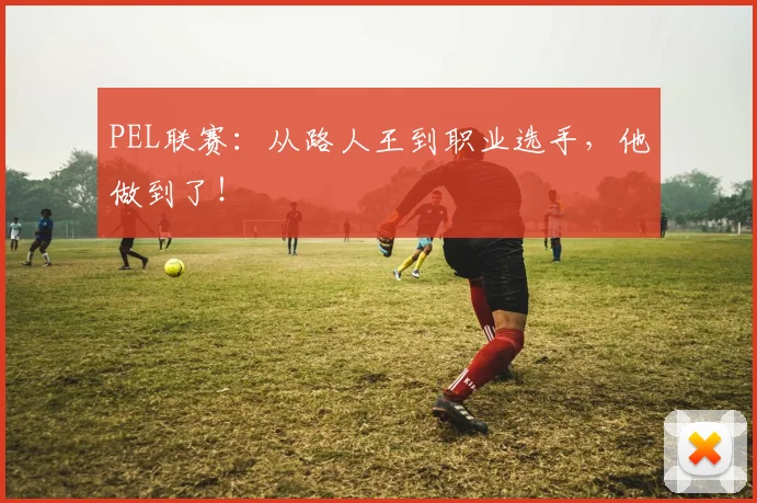 PEL联赛:从路人王到职业选手,他做到了!