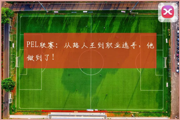 PEL联赛：从路人王到职业选手，他做到了！